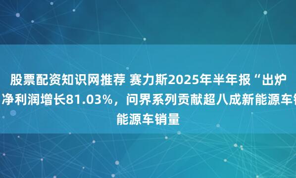 股票配资知识网推荐 赛力斯2025年半年报“出炉”：净利润增长81.03%，问界系列贡献超八成新能源车销量