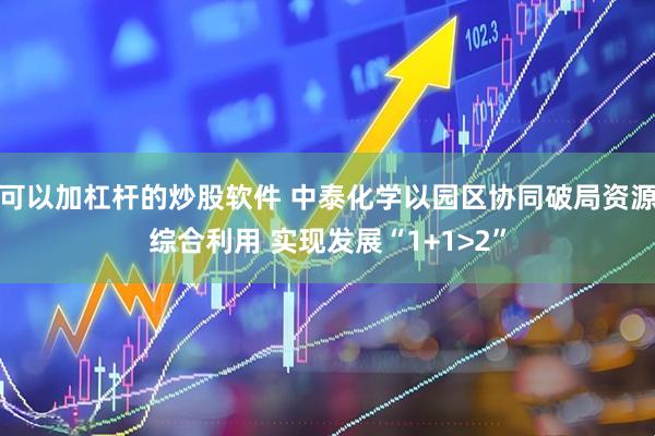 可以加杠杆的炒股软件 中泰化学以园区协同破局资源综合利用 实现发展“1+1>2”