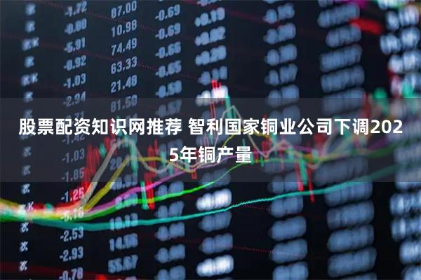 股票配资知识网推荐 智利国家铜业公司下调2025年铜产量