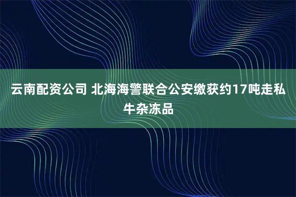 云南配资公司 北海海警联合公安缴获约17吨走私牛杂冻品