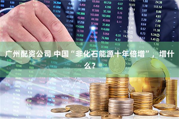 广州配资公司 中国“非化石能源十年倍增”，增什么？