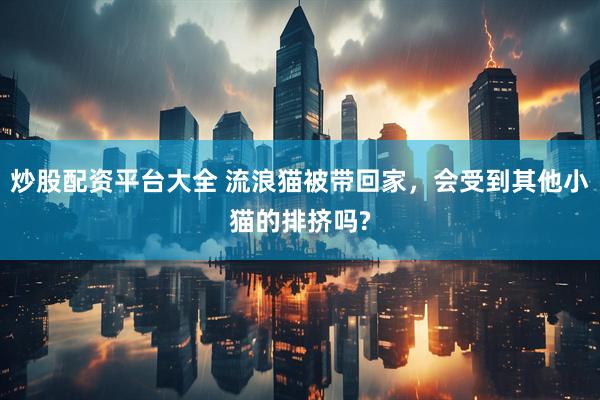 炒股配资平台大全 流浪猫被带回家,会受到其他小猫的排挤吗?